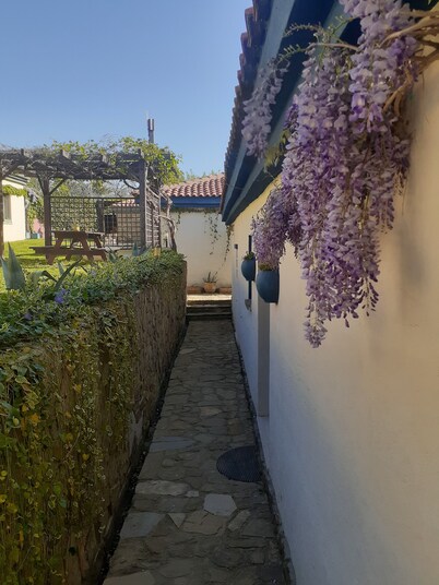 the gallipoli houses
