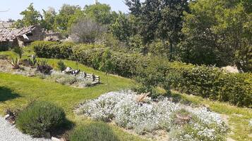 Studio, vue jardin | Enceinte de l’hébergement