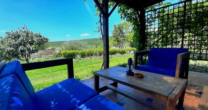 the gallipoli houses