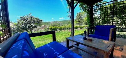 the gallipoli houses