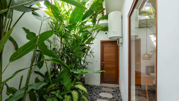 Un sendero estrecho con piedras para pisar que conduce a una puerta de madera, rodeado de plantas verdes exuberantes y una pared blanca.