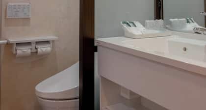 Nonsmoking Twin room with free BK 2 ppl / Ochi District Shimane