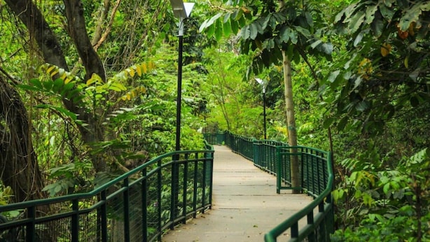 Un sentier bordé de rambardes vertes, entouré d’une végétation luxuriante.