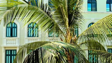 Vista al patio