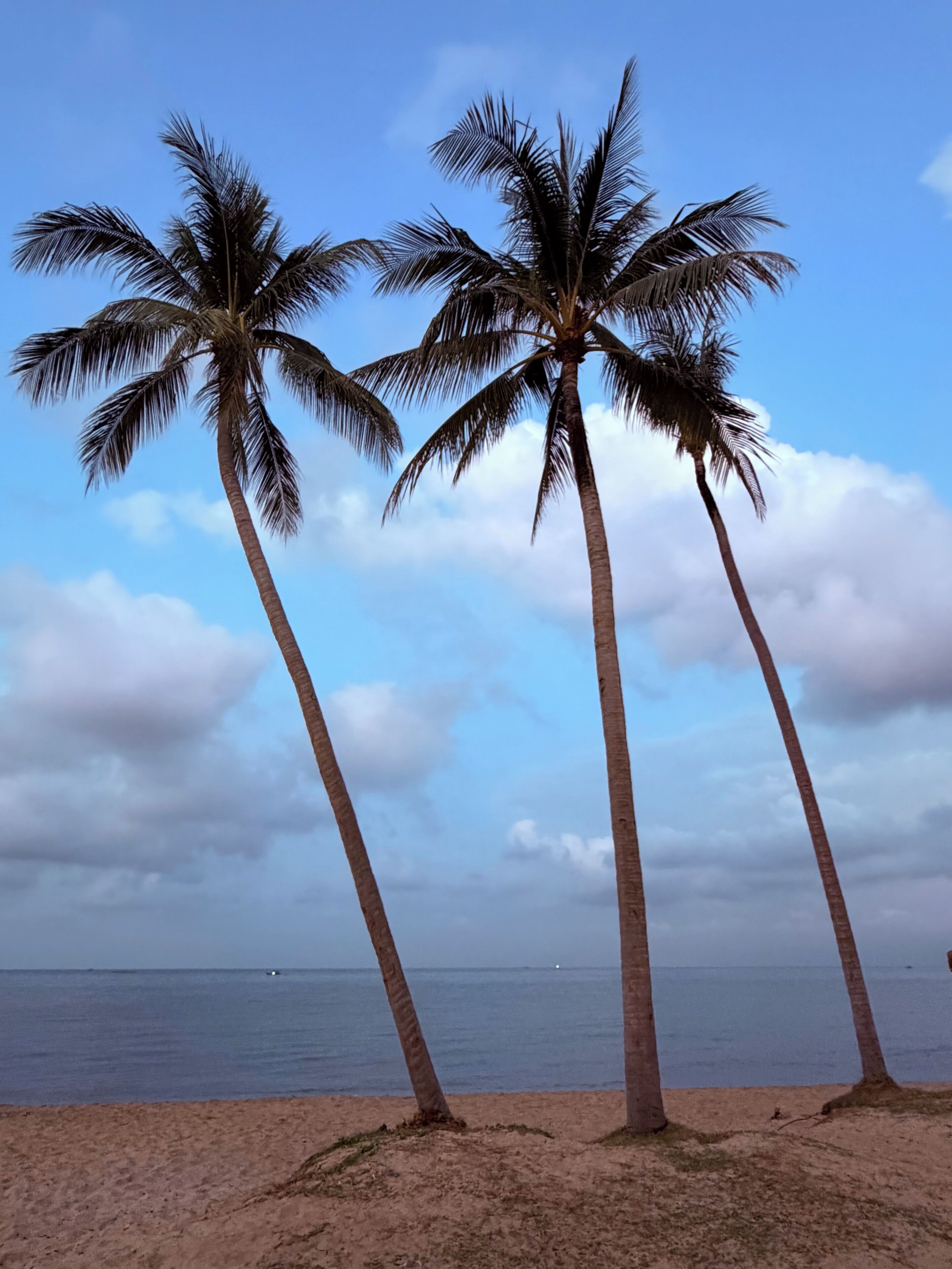 Una playa cerca, toallas de playa