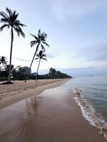 A beach with palm trees, a sandy shore, and a calm sea.