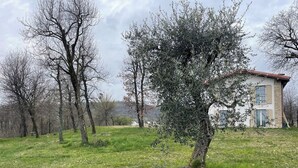 Ein Gebäude mit einer Steinfassade und rotem Dach, umgeben von Olivenbäumen und einer grünen Wiese.