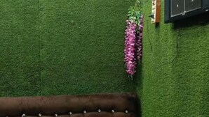 A room with a green wall, a brown sofa, and a hanging plant. - Atharv Paying Guest House (Varanasi)