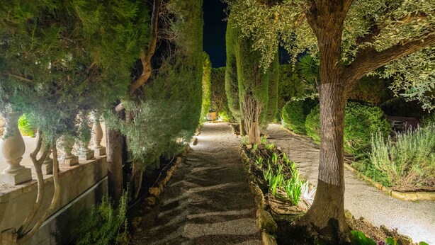 A pathway flanked by trees and a stone wall, leading to a building.