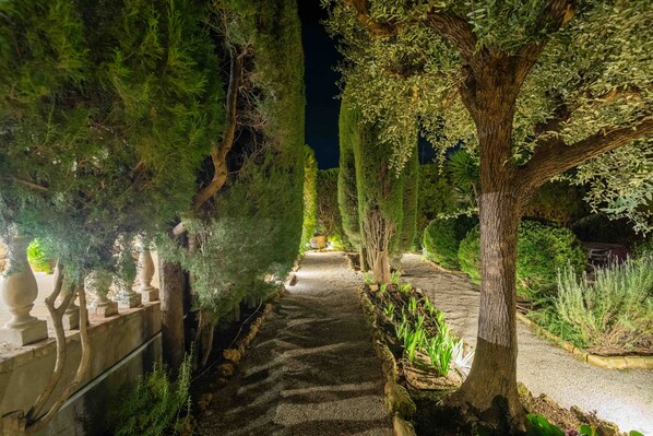 A pathway flanked by trees and a stone wall, leading to a building.
