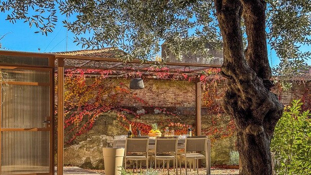 A covered outdoor dining area with a table and chairs, a pergola with vines, and a tree in the foreground. - In Corte - Rooms in Florence (Florence)