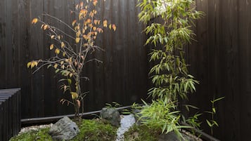 Standard House, Patio, Courtyard View | Property grounds