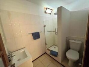Regadera, toallas, papel de baño