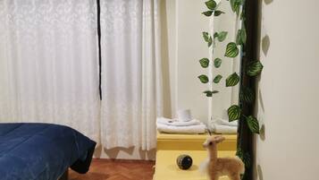 Habitación individual estándar, 1 habitación | Wifi gratis