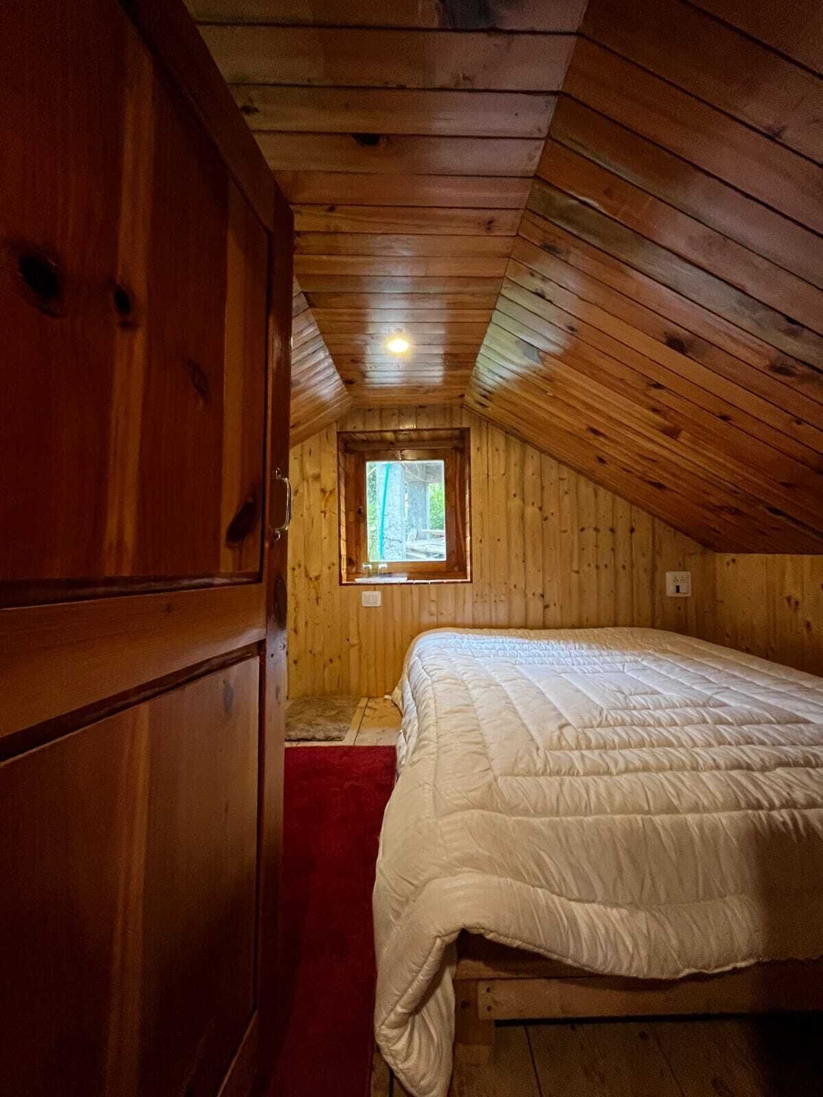 A wooden room with a bed, a window, and a door.