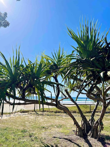 Sun Sand and Suite Dreams - 2-br suite w/large bathroom in Tugun, pet-friendly!