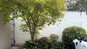 Un'area di parcheggio con un'auto bianca, un albero e un muro bianco.