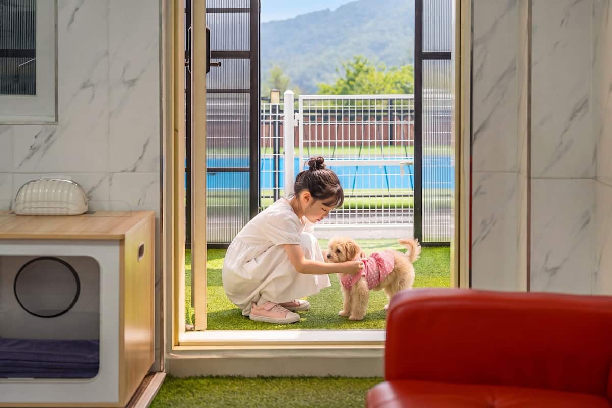 Una habitación con un amplio ventanal corredero que da a un espacio exterior cercado, un sofá rojo y una mesita con un tostador.