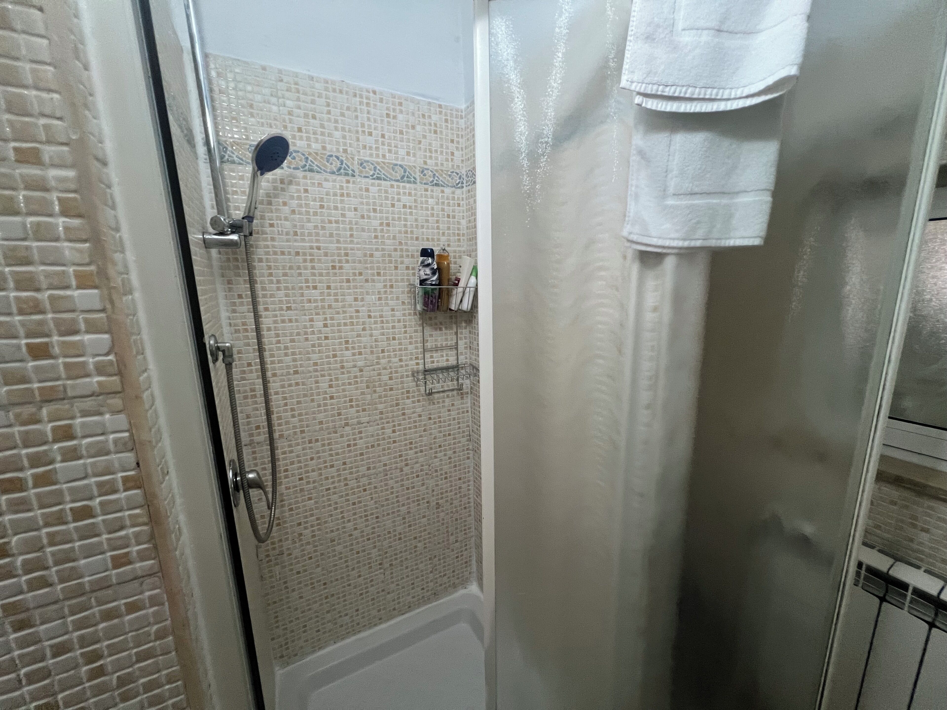 Hair dryer, bidet, towels, soap