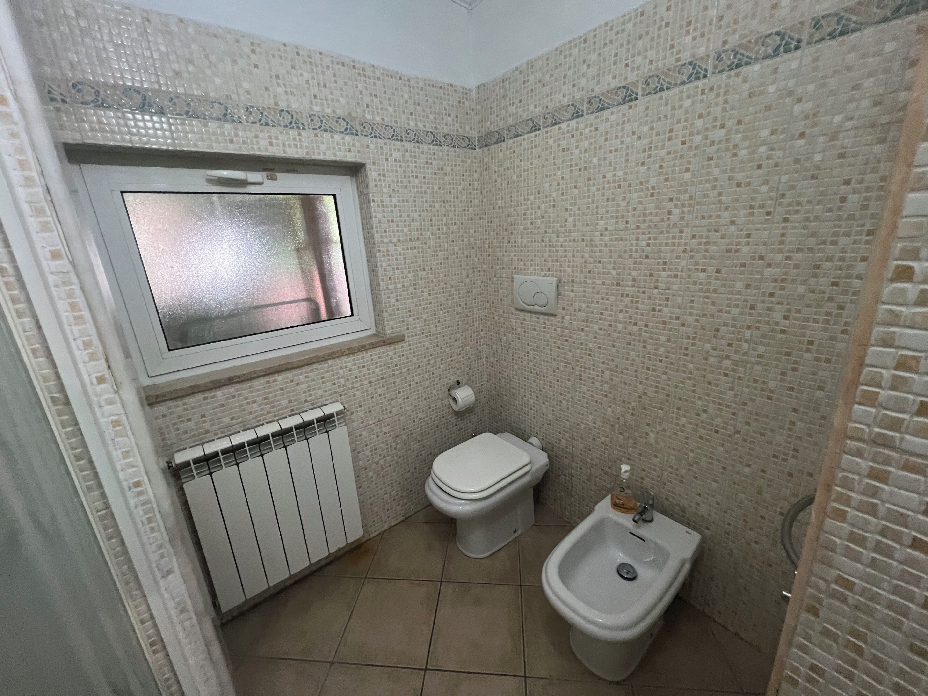 Hair dryer, bidet, towels, soap