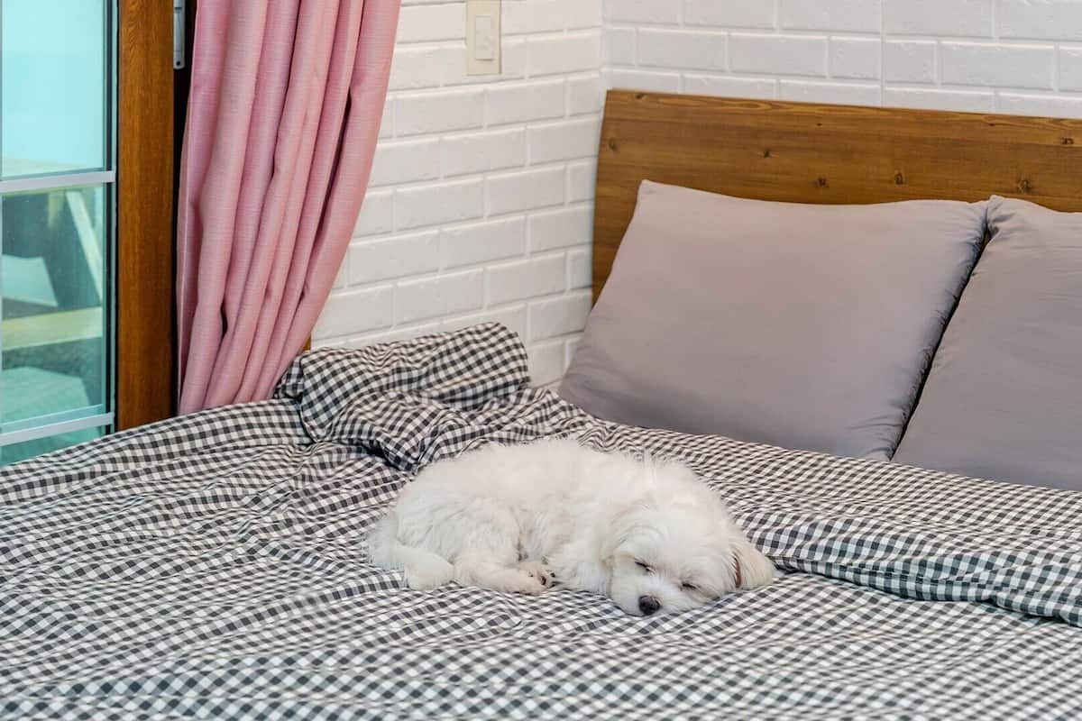 Ein Bett mit karierter Bettdecke, einem Holzkopfende und zwei Kissen.