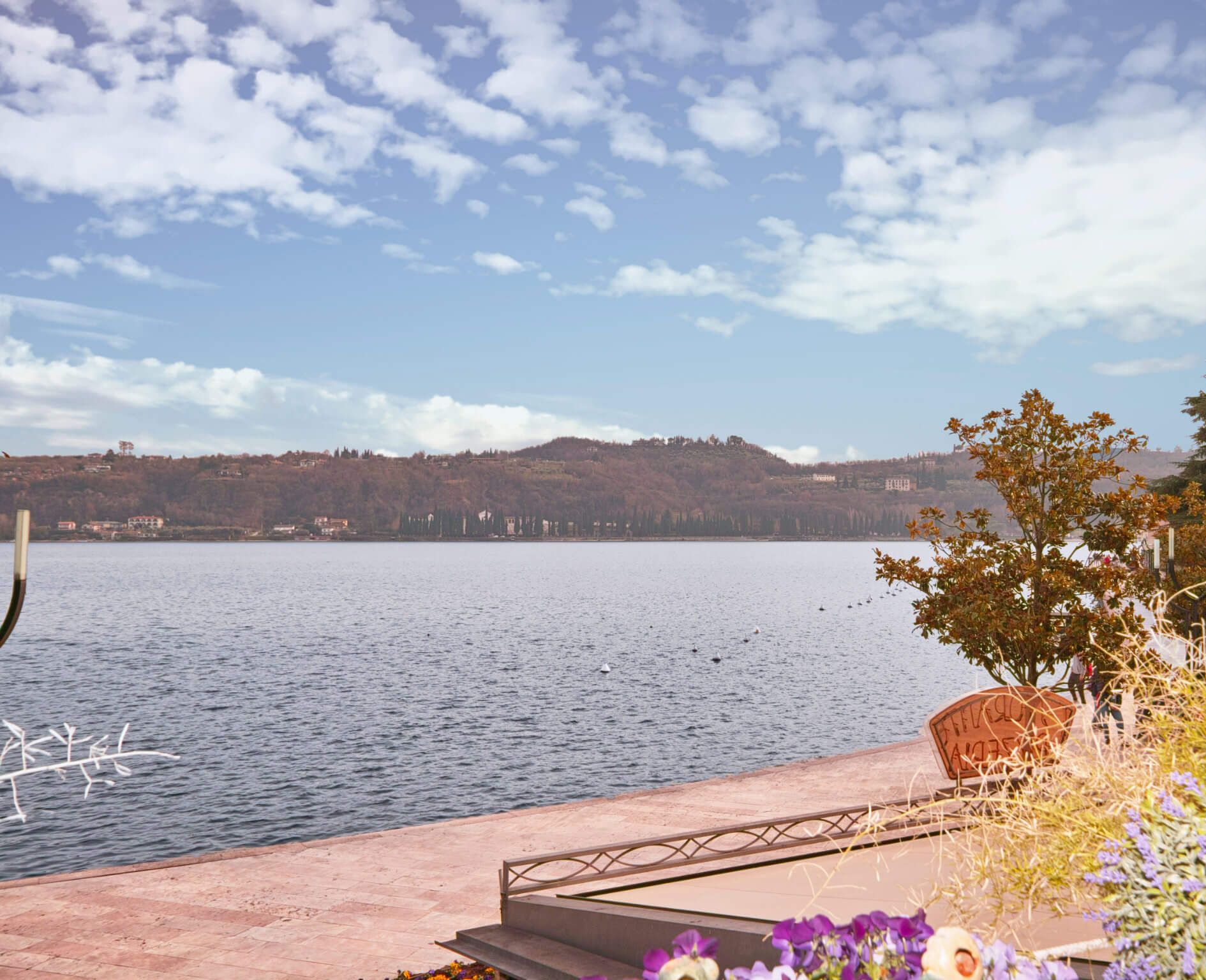 A lakeside view with steps leading down to the water, surrounded by vegetation and a clear sky.