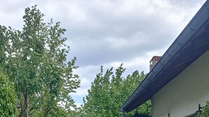 A gravel pathway leading to a house with a white exterior and a metal fence. - Phil's Cozy Apartment: Self-Check-In Near the Airport, Free Parking, Airport Bus Stop (Leinfelden-Echterdingen)