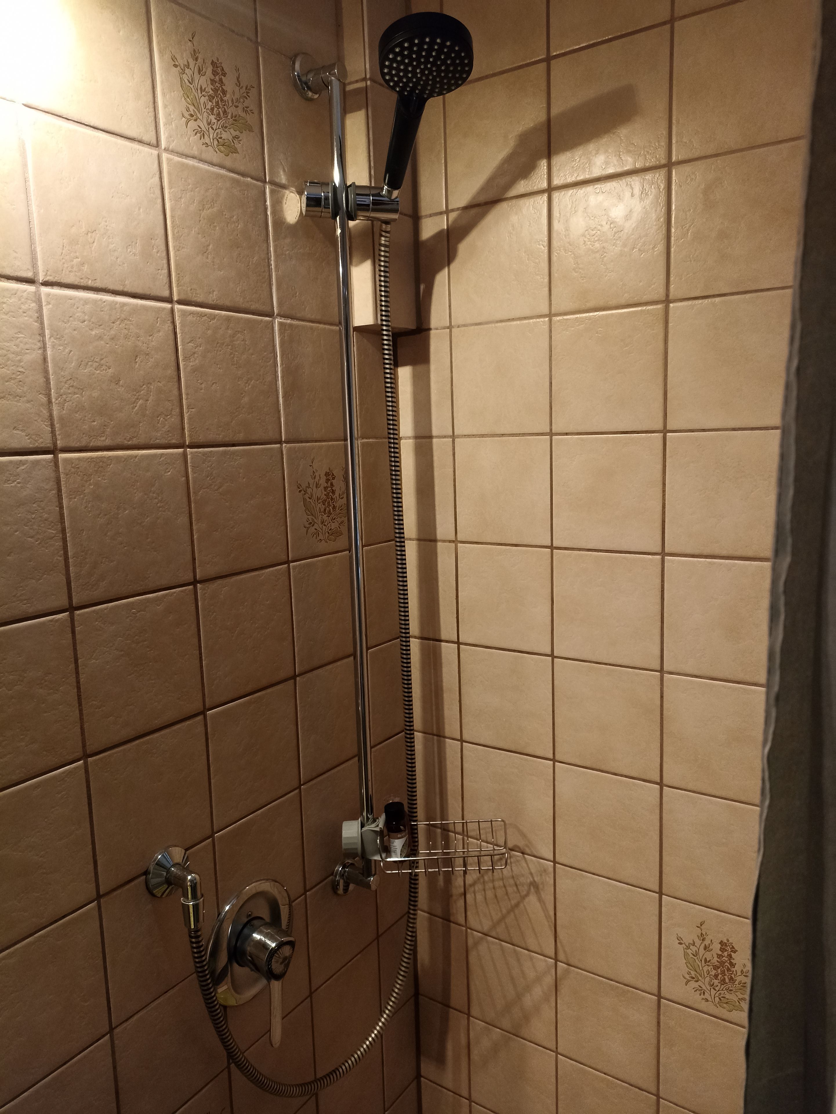 Eine Dusche mit Handbrause und Wandarmatur.