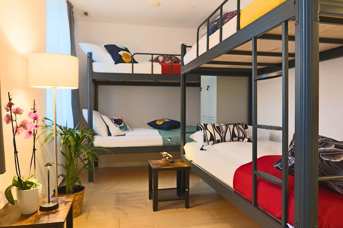 Standard Shared Dormitory, Mixed Dorm, City View