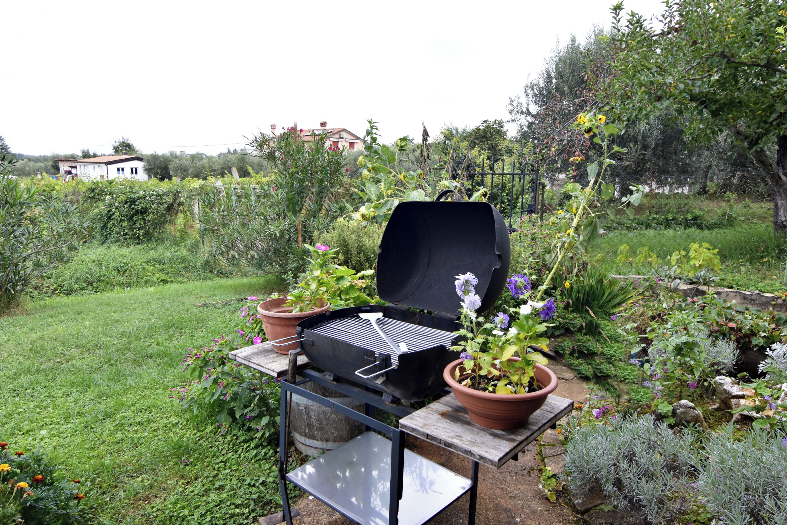 Una instalación para asar al aire libre en un jardín con plantas en macetas y una mesa de madera.