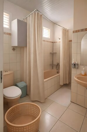 Shower, hair dryer, towels - Holiday Home 'Thesunshine' with Sea View, Wi-Fi and Air Conditioning (Les Anses-d'Arlet)