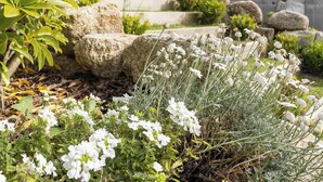 Un giardino pensile con piante, rocce e gradini che conducono a un edificio.