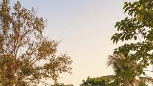 Una casa con porche delantero, banca de madera, plantas en macetas y césped bien cuidado.