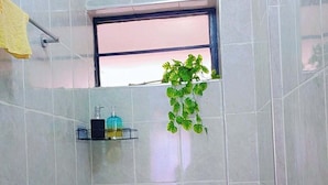 Un baño pequeño con inodoro, lavamanos, ventana y una planta.
