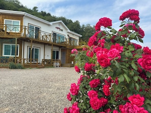 Exterior - Yeomyeong Pension (Yeongdeok)