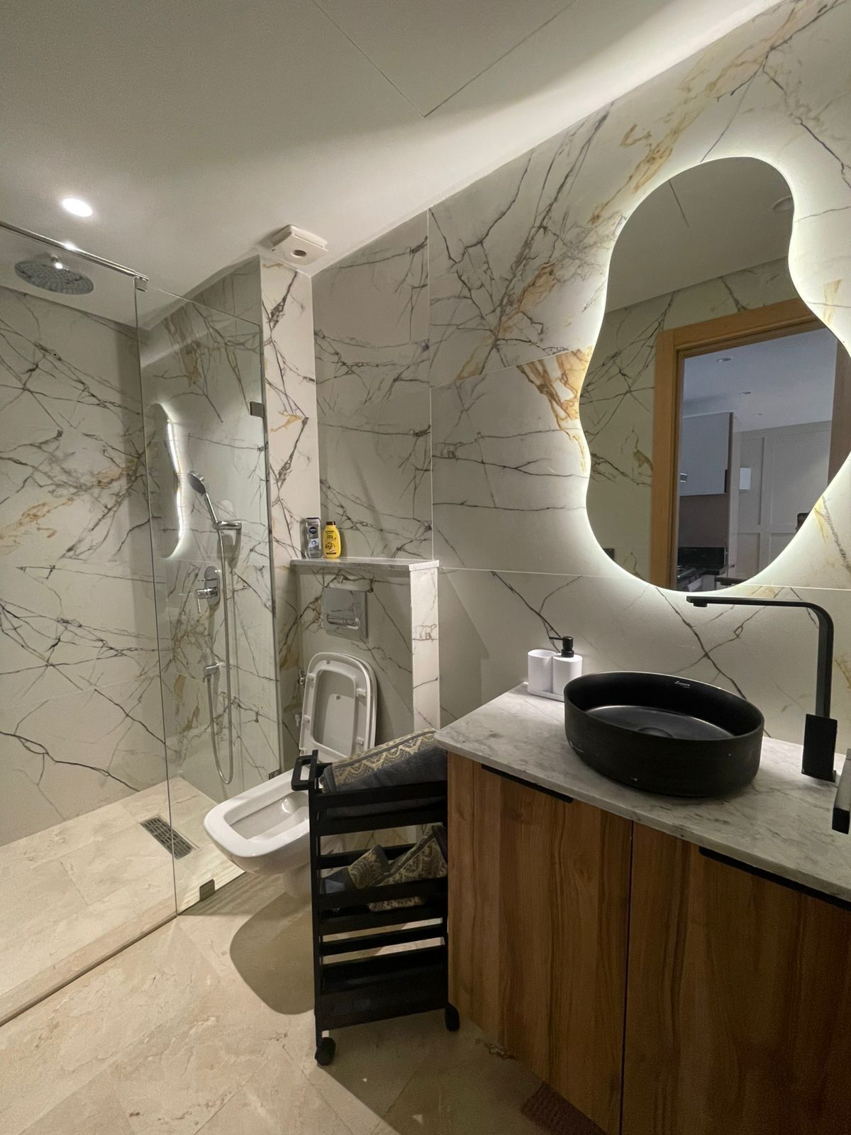 Hair dryer, towels, soap, toilet paper