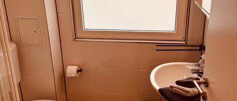 Shower, hair dryer