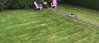 The Meadows Bed and Breakfast