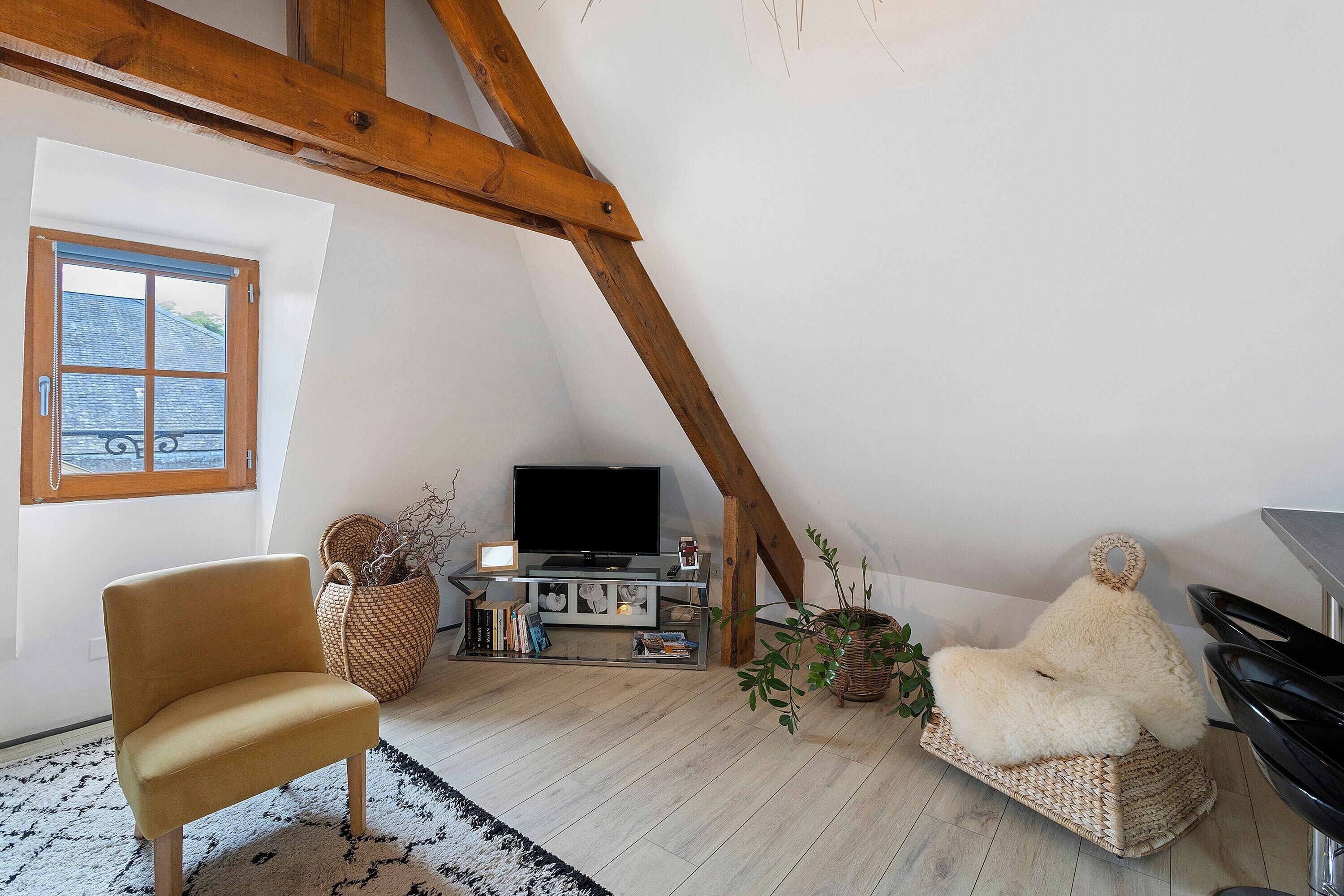 Fernseher