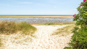 Een zandpad langs het strand dat naar de zee leidt, onder een heldere lucht.