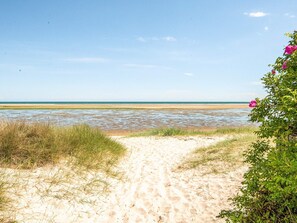 A sandy beach path leading to the sea with a clear sky. - 5 Star Holiday Home in Hadsund (Hadsund)