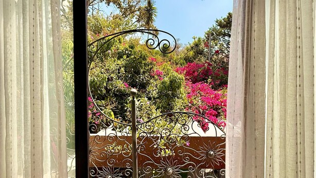 A view through a window with sheer curtains, revealing a garden with a decorative metal fence and a patterned floor.