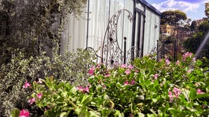 A building with a metal fence and flowering plants in the foreground.
