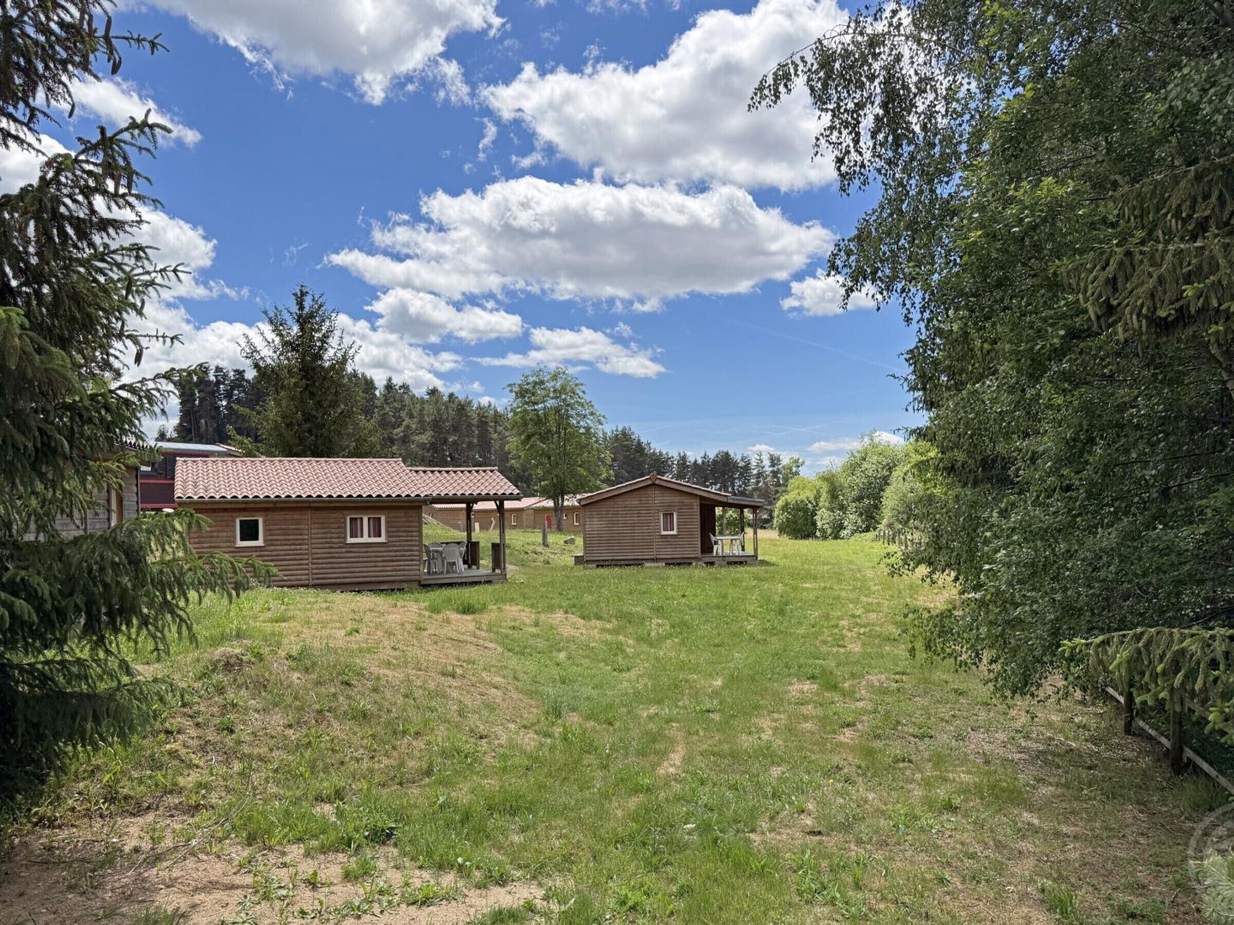 A rustic cabin with a tiled roof, surrounded by a grassy area and dense trees.