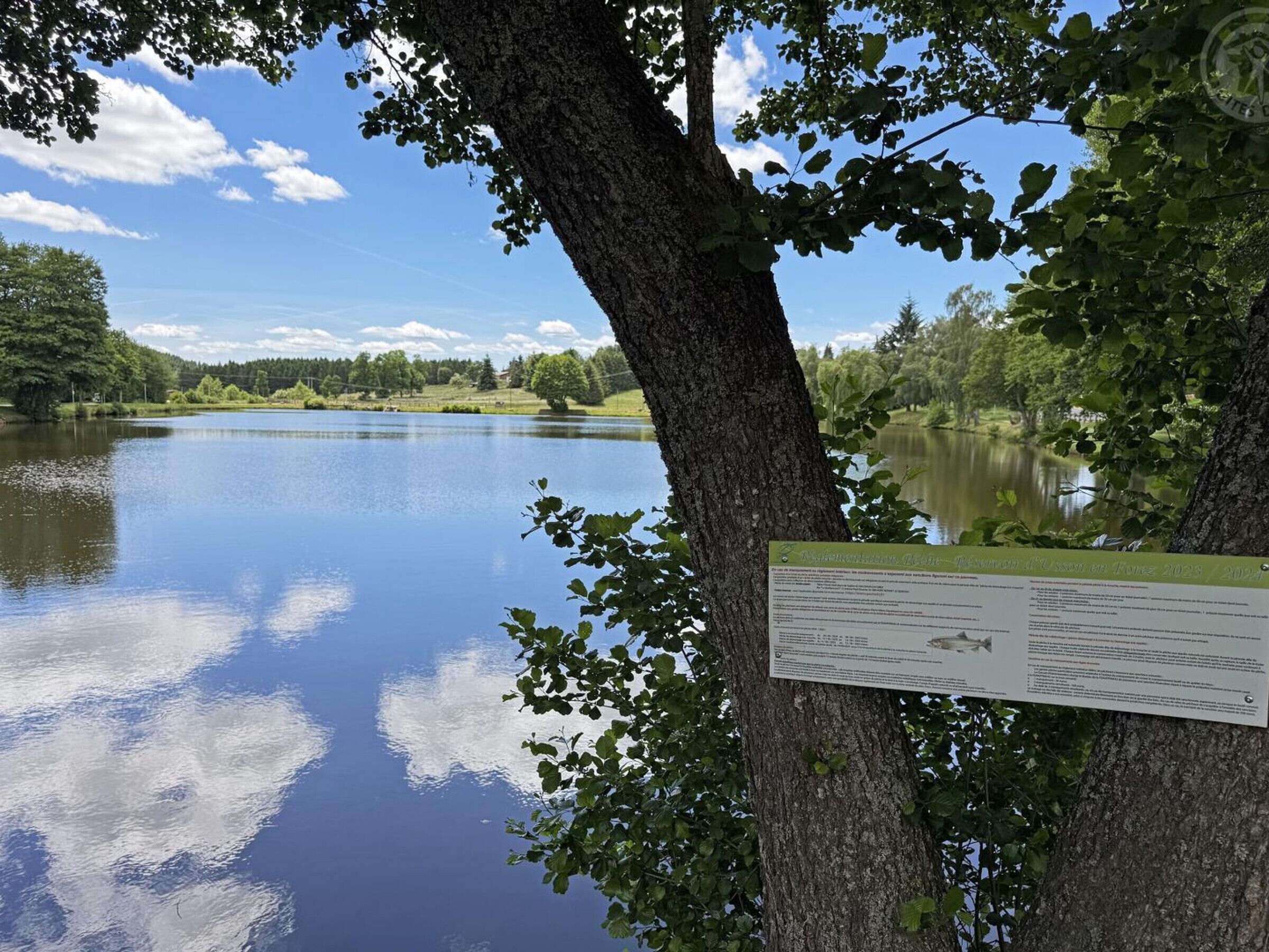 Un lac paisible, avec un arbre et un panneau indicateur.