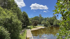 A tranquil park with a pond, a walking path, and lush greenery. - Nature chalet, pets welcome - 6 guests (Usson-en-Forez)