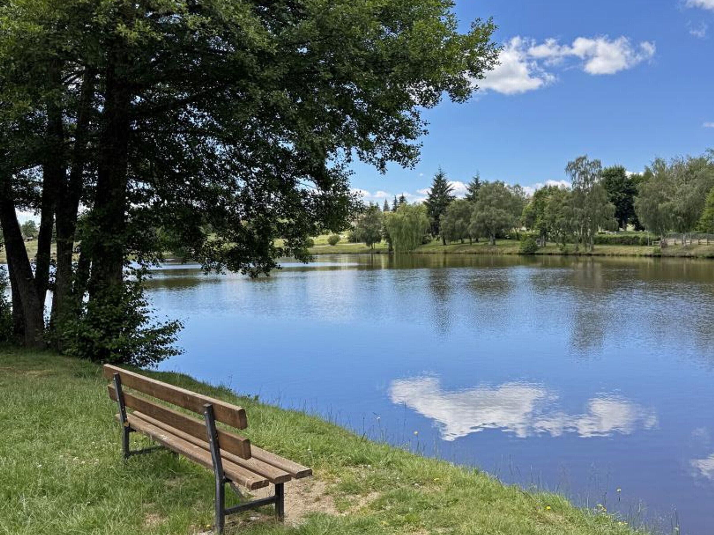 A bench by a calm lake with trees and a clear sky.