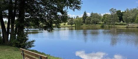 A bench by a calm lake with trees and a clear sky.