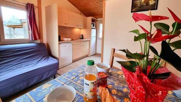 Una habitación con una cama, una mesa, una botella, un cuenco y una planta roja.
