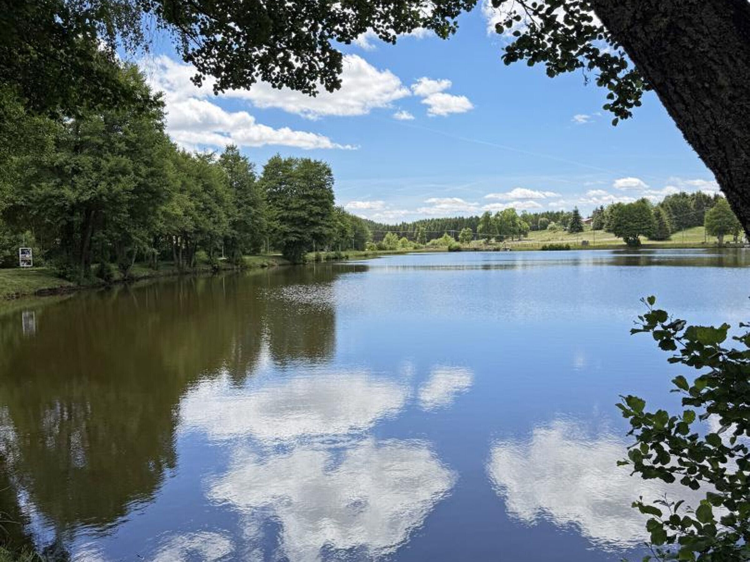 A calm lake surrounded by dense trees and a clear sky.